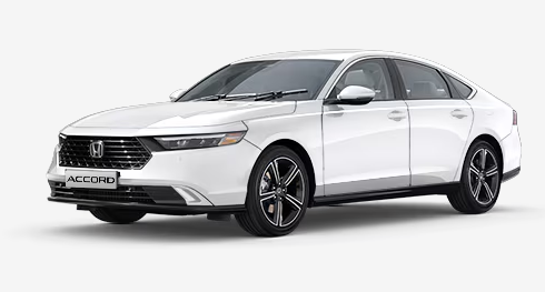 Accord 1.5L 2025 1.5L LX Sedan